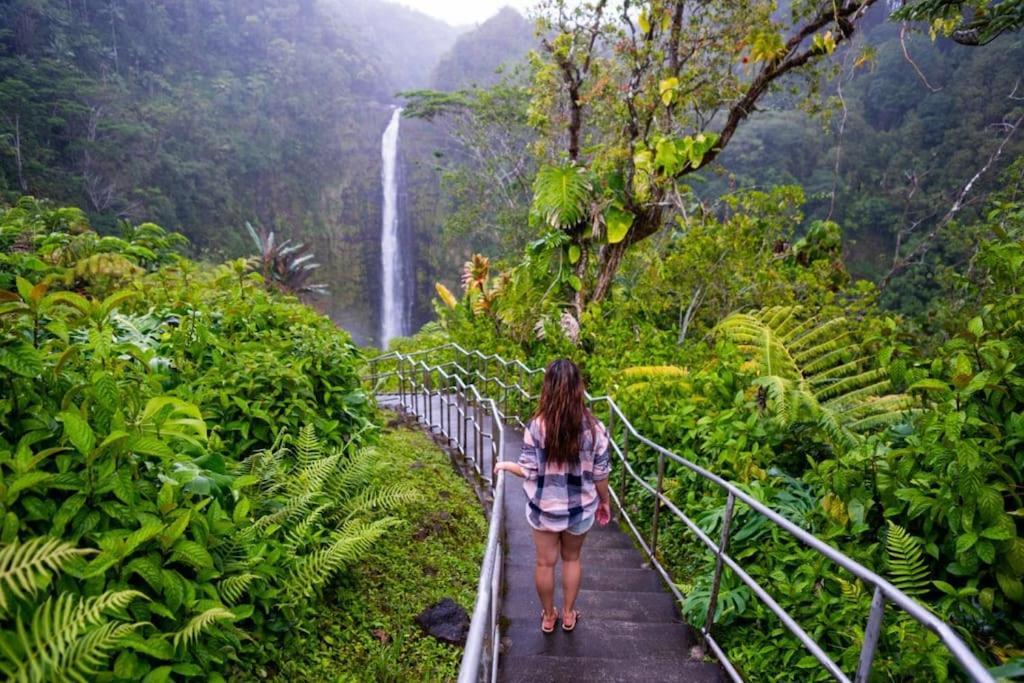 The Honomu House - Gorgeous, Spacious 4Bd2Ba Home Near Waterfalls And Hilo, Sleeps 12! Esterno foto