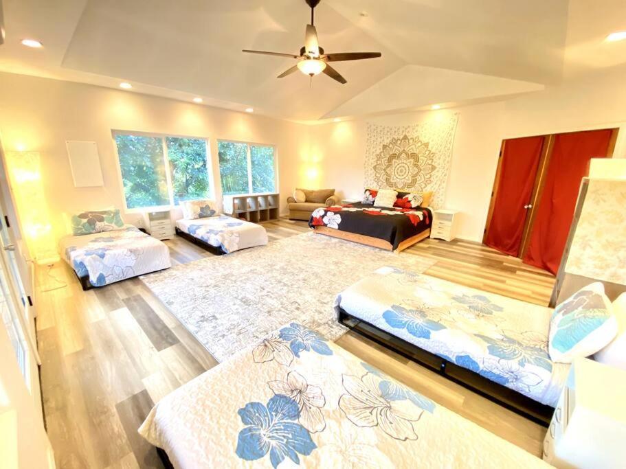 The Honomu House - Gorgeous, Spacious 4Bd2Ba Home Near Waterfalls And Hilo, Sleeps 12! Esterno foto